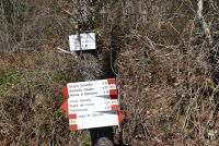 Monte cucuzzo  Aprile 2018 (8)